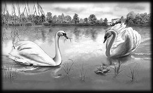 Лебеди на озере - картинки для гравировки